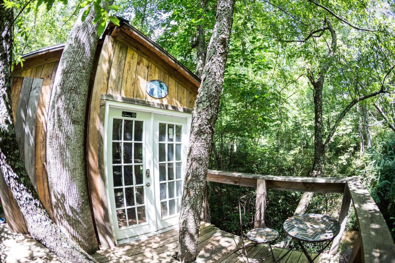 Mountain Harbour B&B Roan Mountain エクステリア 写真